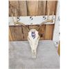 Image 2 : 3 Painted Whitetail Skulls Taxidermy