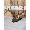 Image 3 : 4x5 Whitetail Antlers On Plaque