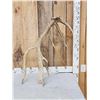 Image 1 : 8 Point Self Standing Elk Shed Antler