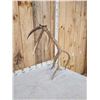 Image 5 : 8 Point Self Standing Elk Shed Antler