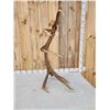 Image 2 : Freak 8 Point Self Standing Elk Shed Antler
