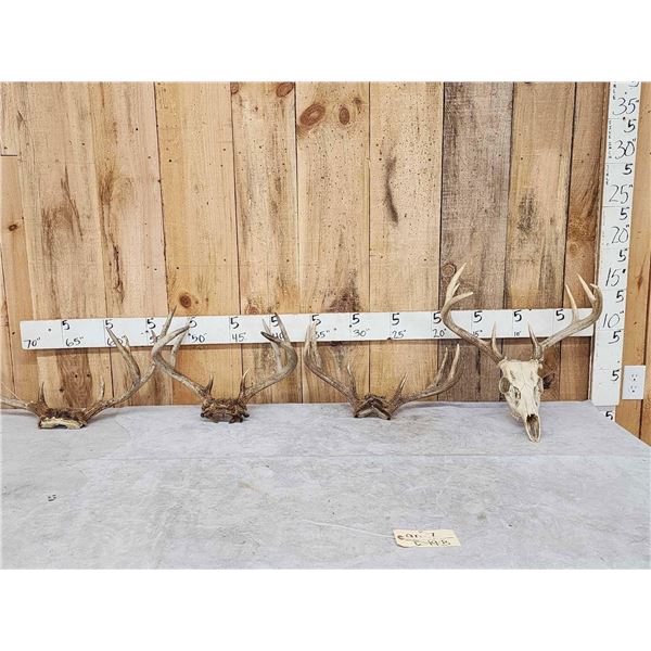4 Sets Of Whitetail Antlers