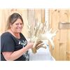 Image 3 : GIANT HEAVY MASS 295" Set Of Whitetail Shed Antlers