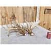 Image 8 : GIANT HEAVY MASS 295" Set Of Whitetail Shed Antlers
