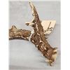 Image 3 : 4 Point Wild Whitetail Shed Antler