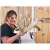 Image 3 : MASSIVE 300" Whitetail Shed Antlers