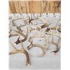 Image 4 : 23.1 Lbs Of Whitetail Antlers