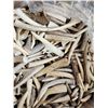 Image 1 : 50 Lbs Of A Grade Elk & Deer Antler Point Tips