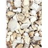 Image 2 : 50 Lbs Of Grade A Deer Antler Shed Burrs Buttons