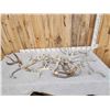 Image 1 : 24.8 Lbs Of Deer Antlers
