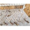 Image 2 : 24.5 Lbs Of Whitetail Shed Antlers