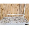 Image 1 : 30.1 Lbs Of Whitetail Shed Antlers
