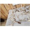 Image 2 : 30.9 Lbs Of Whitetail Antlers