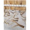 Image 4 : 30.9 Lbs Of Whitetail Antlers