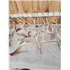 Image 3 : 30.7 Lbs Of Whitetail Shed Antlers