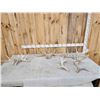 Image 1 : 4 Sets Of Whitetail Shed Antlers