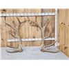 Image 1 : MONSTER 475" Set Of Elk Shed Antlers