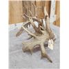 Image 6 : MONSTER 295" Set Of Whitetail Shed Antlers