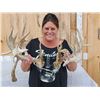 Image 1 : Big Droptine 288" Set Of Whitetail Shed Antlers