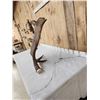Image 6 : Gorgeous 18 Lbs Self Standing Alaskan Moose Shed Antler