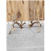 Image 10 : GORGEOUS Double Droptine 311" Set Of Whitetail Shed Antlers