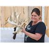 Image 2 : GORGEOUS Double Droptine 311" Set Of Whitetail Shed Antlers