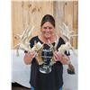 Image 1 : Monster Droptine 301" Set Of Whitetail Shed Antlers