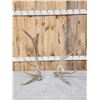 Image 1 : Set Of 8x7 Elk Shed Antlers