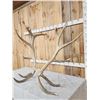 Image 2 : Huge Set Of 8x8 Elk Cut Off Antlers