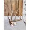 Image 1 : 76" Wild Texas Whitetail Shed Antler