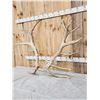 Image 2 : Gnarly Nontypical 10x9 Elk Shed Antlers