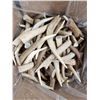 Image 1 : 50 Lbs Of Elk Antler Tips
