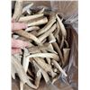 Image 2 : 50 Lbs Of Elk Antler Tips