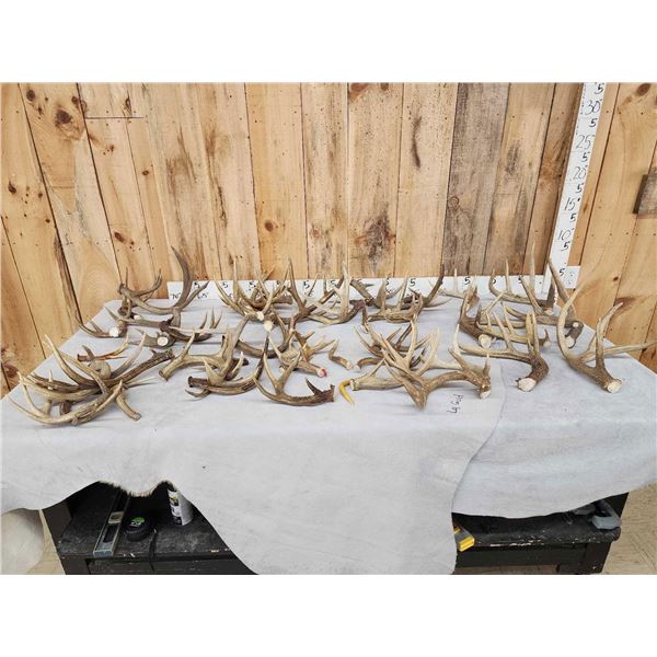 38.5 Lbs Of Deer Antlers