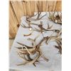 Image 5 : 38.5 Lbs Of Deer Antlers