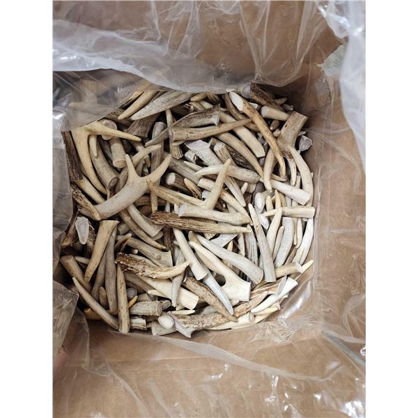 50 Lbs Of Elk & Deer Antler Tips