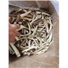 Image 2 : 50 Lbs Of Elk & Deer Antler Tips