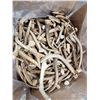 Image 1 : 50 Lbs Of Deer Antler Spikes
