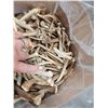 Image 2 : 50 Lbs Of Deer Antler Spikes