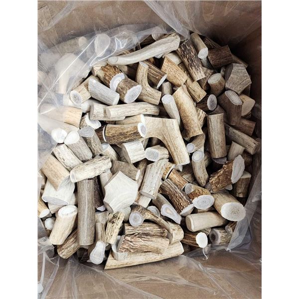 50 Lbs Of Grade A Deer Antler Chunks