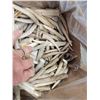 Image 2 : 50 Lbs Of Elk Antler Tips