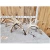 Image 2 : 4 Giant Sets Of Whitetail Cut Off Antlers