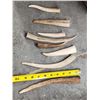 Image 3 : 50 Lbs Of Grade A Elk Antler Tips