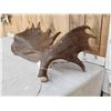 Image 5 : 17.5 Lbs Alaskan Moose Shed Antler