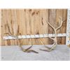 Set Of 12.1 Lbs Elk Cut Off Antlers