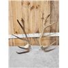 Set Of 8.9 Lbs Elk Cut Off Antlers