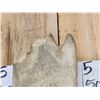 Image 5 : 48" Wide Moose Antlers On Plaque