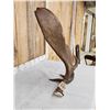 Image 5 : 15.3 Lbs Self Standing Alaskan Moose Shed Antler