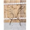 Image 4 : 15.6 Lbs Set Of Elk Cut Off Antlers