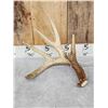 Image 3 : Heavy Mass 190" Set Of Whitetail Shed Antlers
